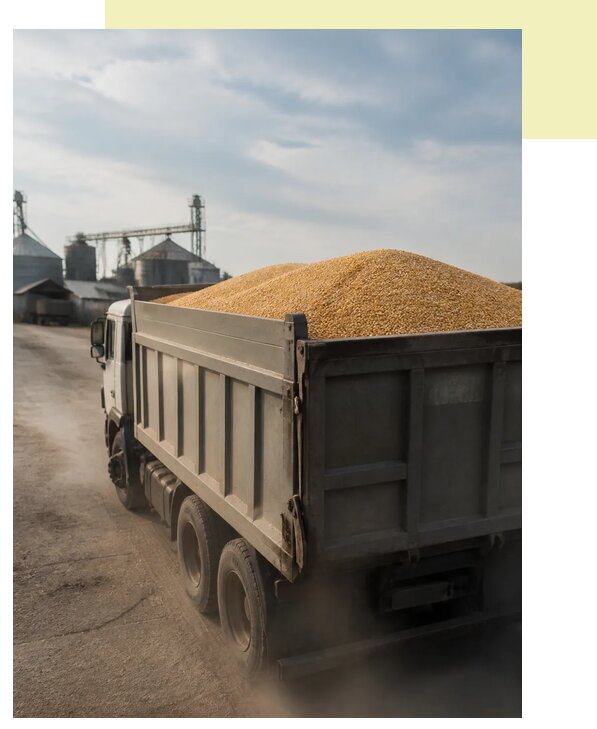 Перевозка сельхозпродукции навалом в Каспийск по цене от 3054 р. | Агросервис-Ксп