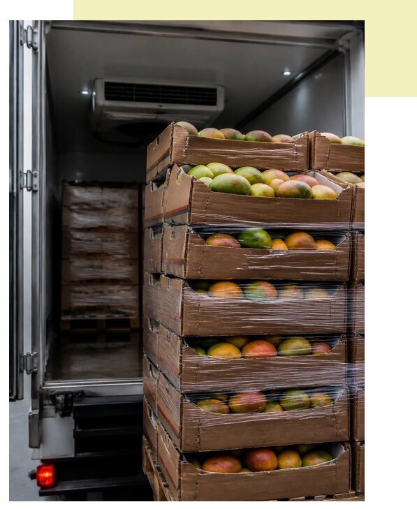 Перевозка манго рефрижератором в Каспийск по цене от 5091 р. | Агросервис-Ксп